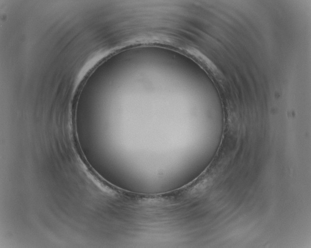 X0000076250894200610122202