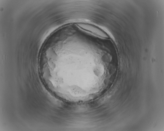 X0000076250895200610122202