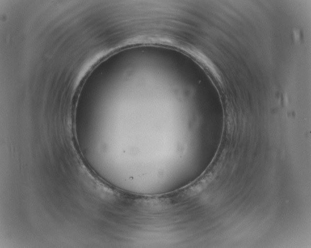 X0000076250896200610122202