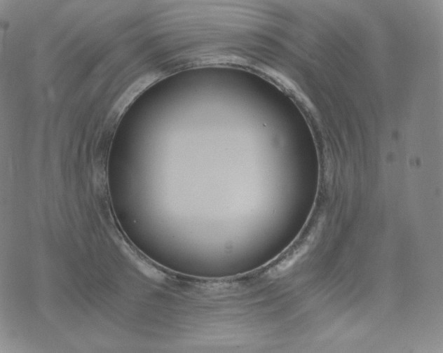 X0000076250897200610122202