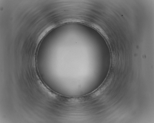 X0000076250898200610122202