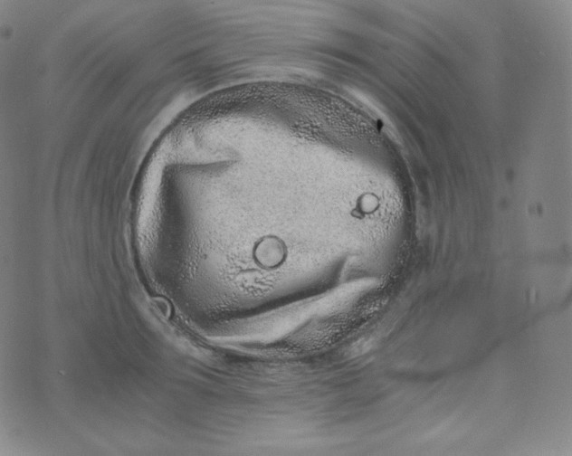 X0000076250899200610122202