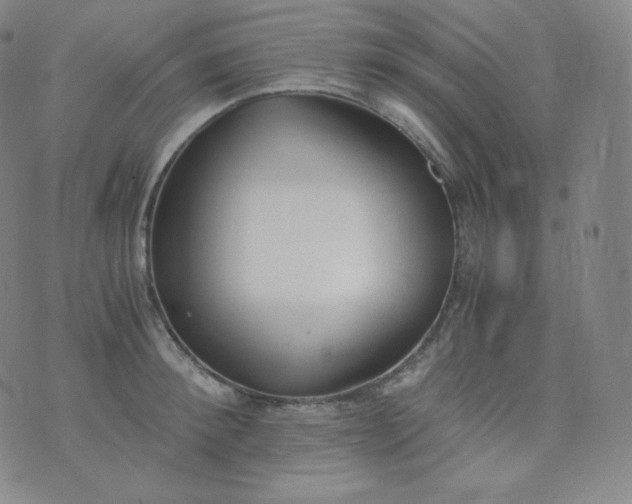 X0000076250900200610122202