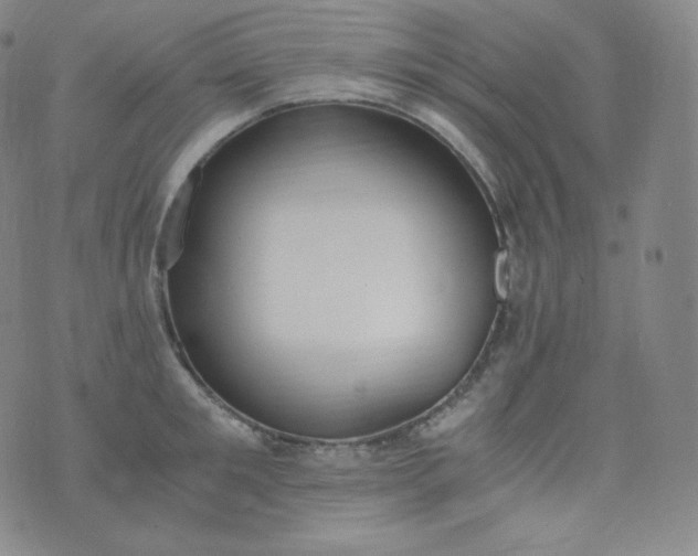 X0000076250901200610122202