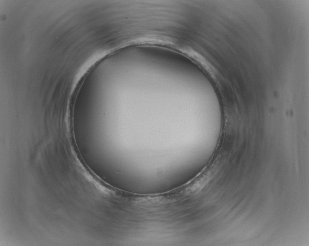 X0000076250902200610122202