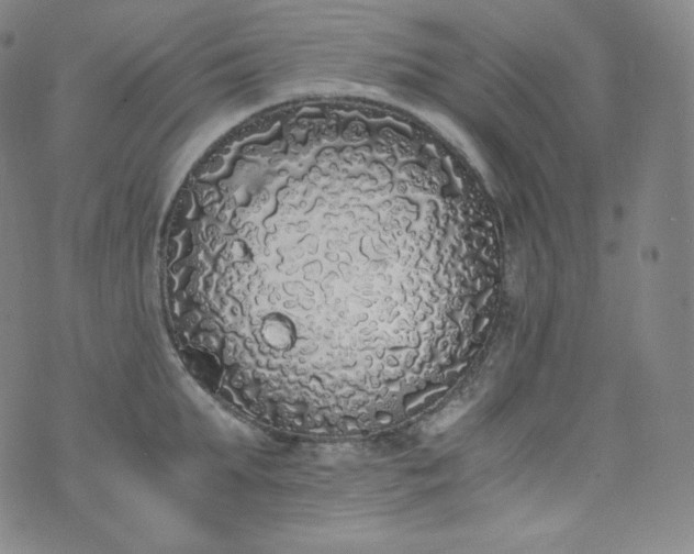 X0000076250903200610122202