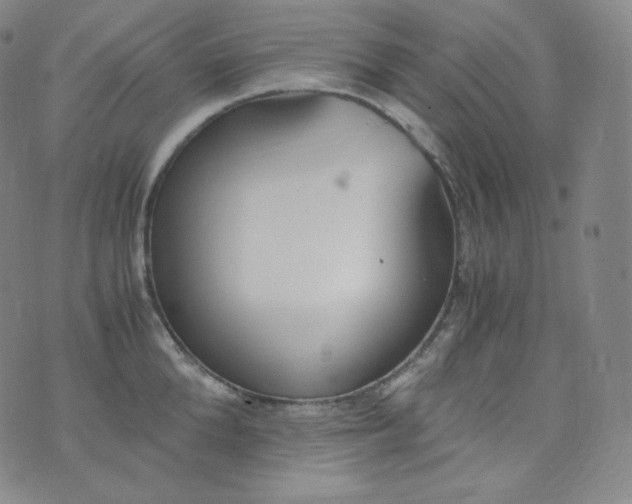 X0000076250904200610122202