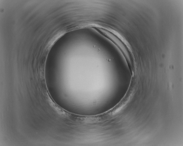 X0000076250905200610122202