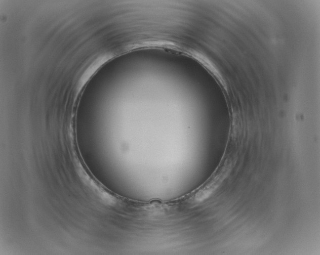 X0000076250906200610122202