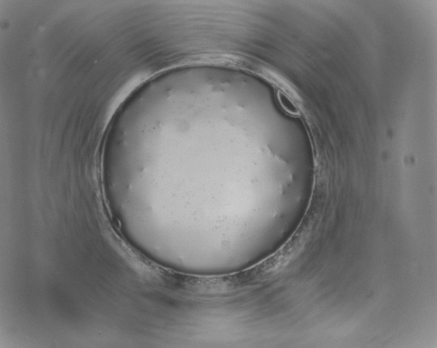 X0000076250907200610122202