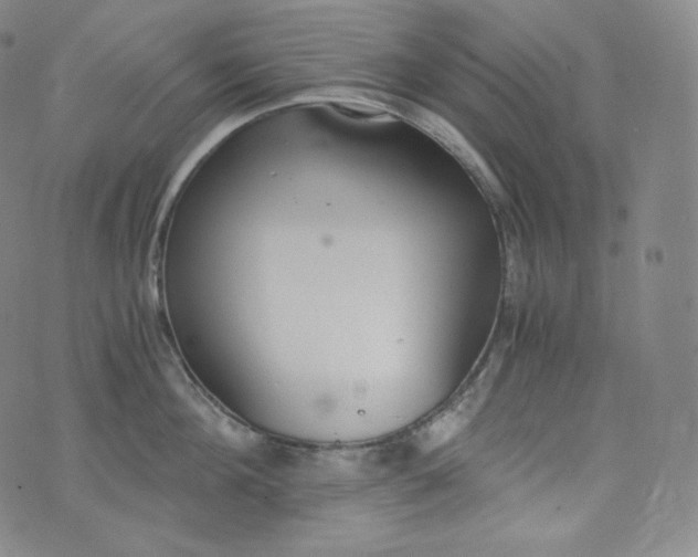 X0000076250908200610122202