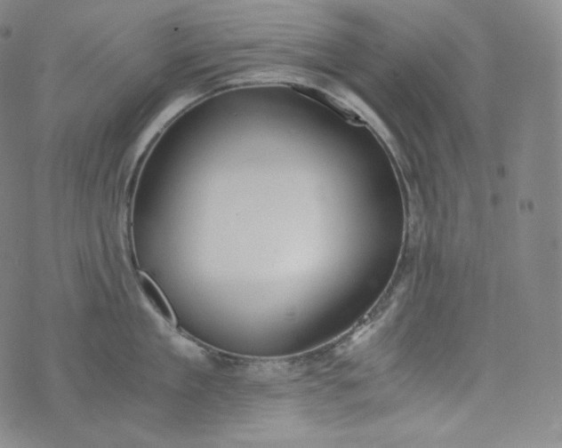 X0000076250909200610122202