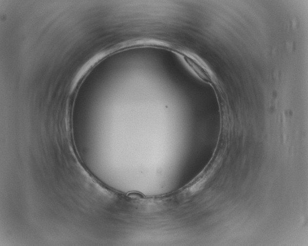 X0000076250910200610122202