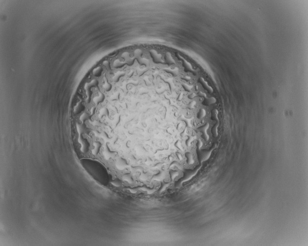 X0000076250911200610122202