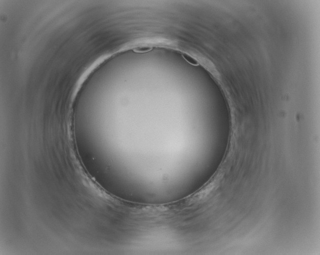 X0000076250912200610122202