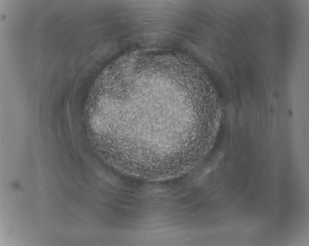 X0000076250913200610122201