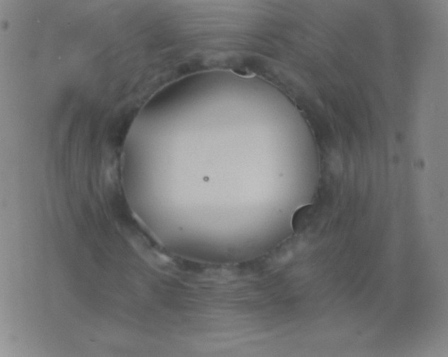 X0000076250914200610122201