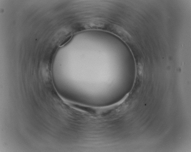 X0000076250915200610122201