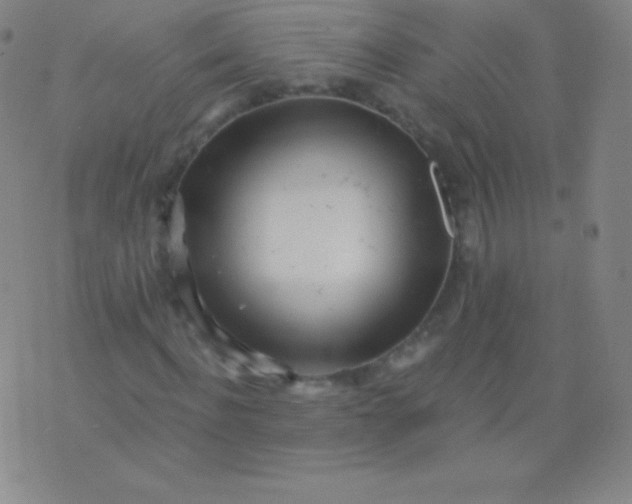 X0000076250916200610122201