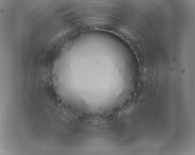 X0000076250917200610122201