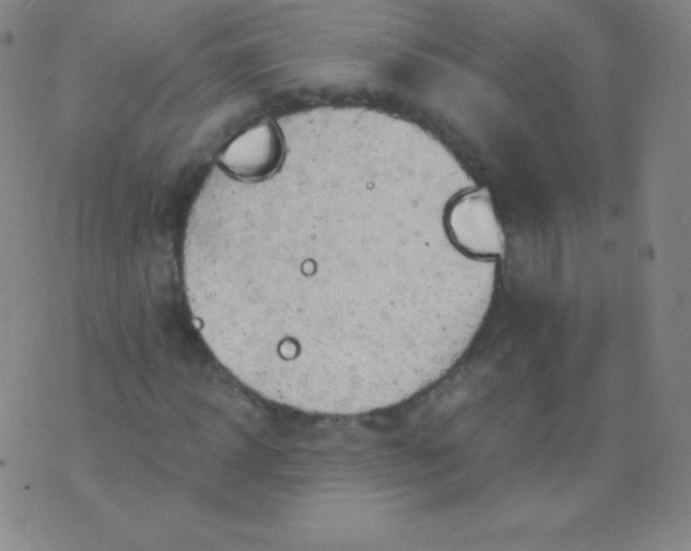 X0000076250918200610122201