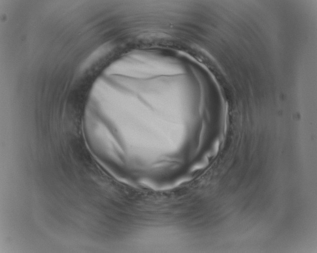 X0000076250919200610122201