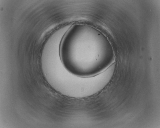 X0000076250920200610122201