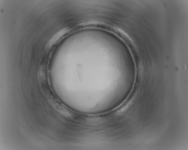 X0000076250921200610122201