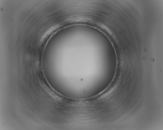 X0000076250922200610122201