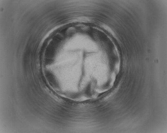 X0000076250923200610122201