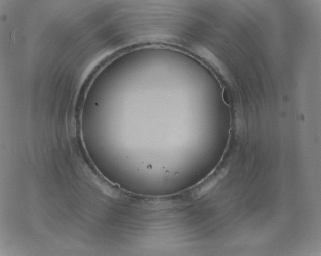 X0000076250924200610122201