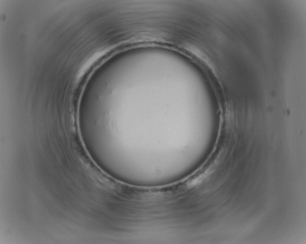 X0000076250925200610122201