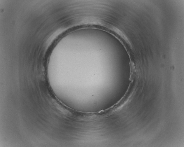 X0000076250926200610122201