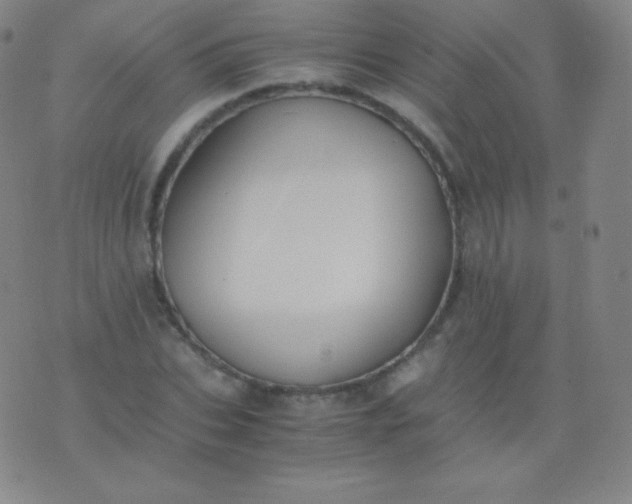 X0000076250927200610122201