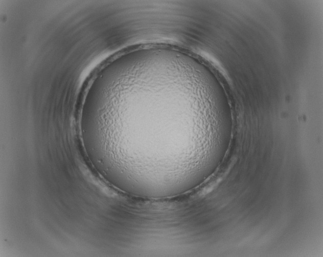 X0000076250928200610122201