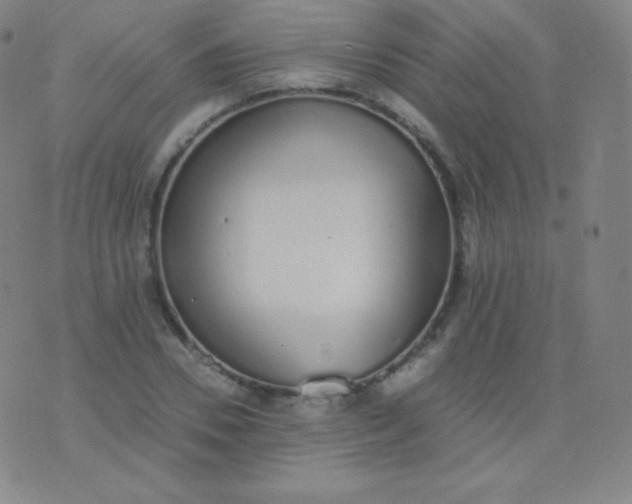 X0000076250930200610122201