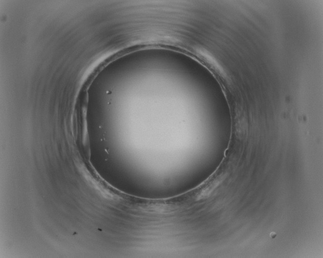 X0000076250932200610122201