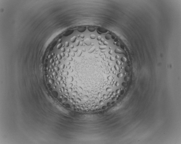 X0000076250933200610122201