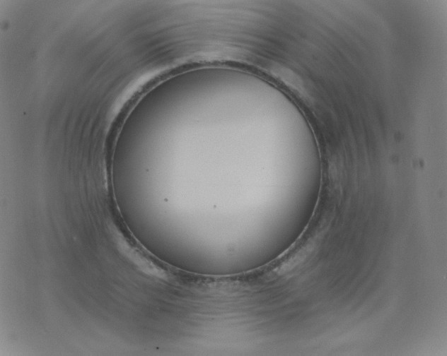 X0000076250934200610122202