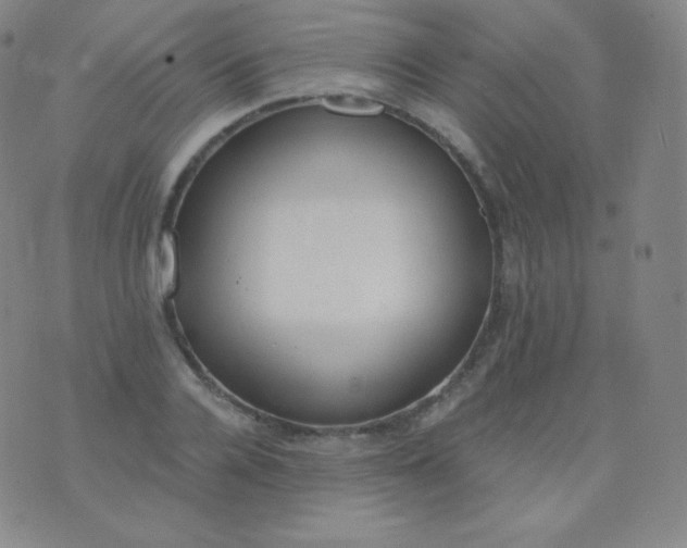 X0000076250936200610122202