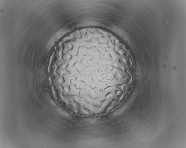 X0000076250937200610122202