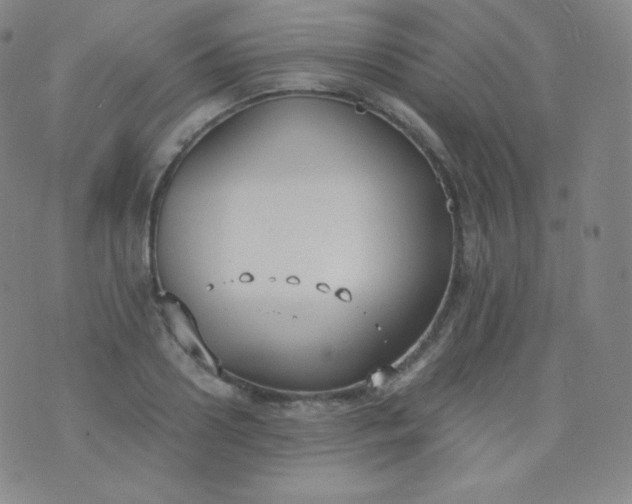 X0000076250938200610122202