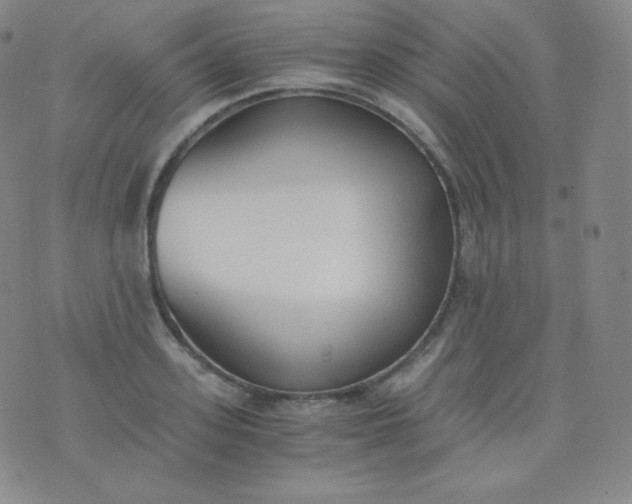 X0000076250939200610122202