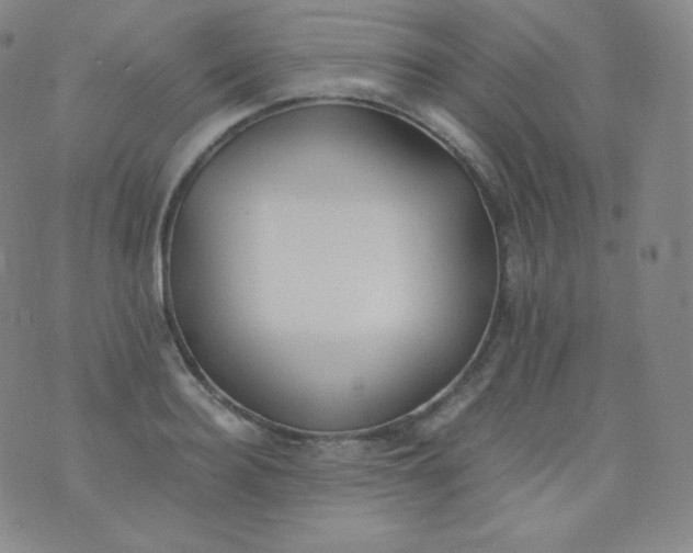 X0000076250940200610122202