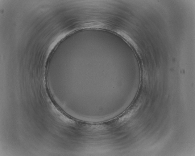 X0000076250941200610122202