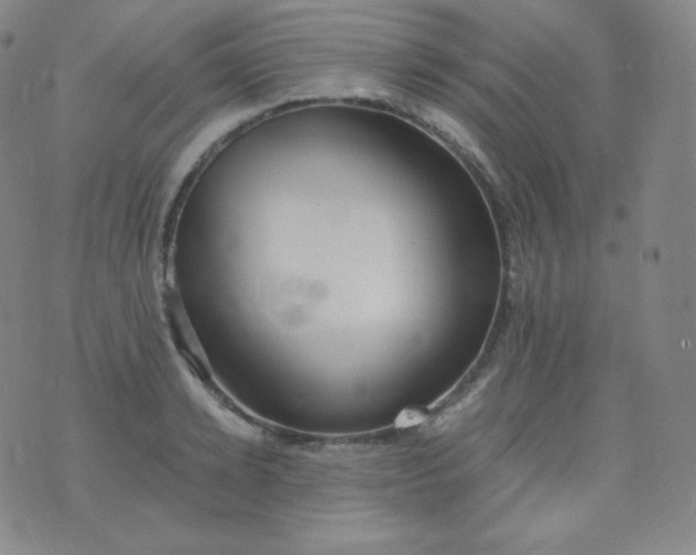 X0000076250942200610122202