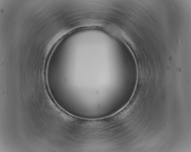 X0000076250943200610122202