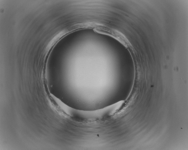 X0000076250946200610122202