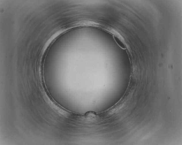 X0000076250947200610122202