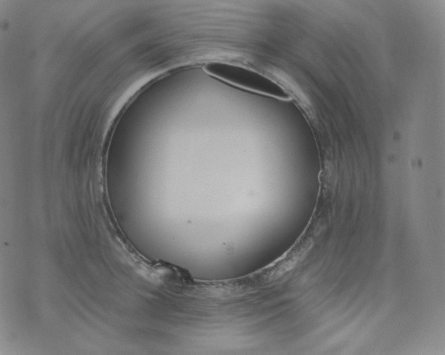 X0000076250948200610122202